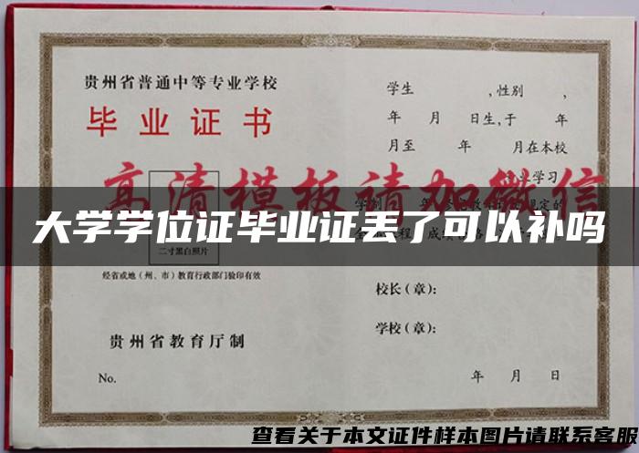 大学学位证毕业证丢了可以补吗