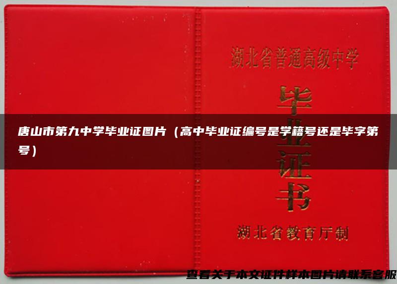 唐山市第九中学毕业证图片（高中毕业证编号是学籍号还是毕字第号）