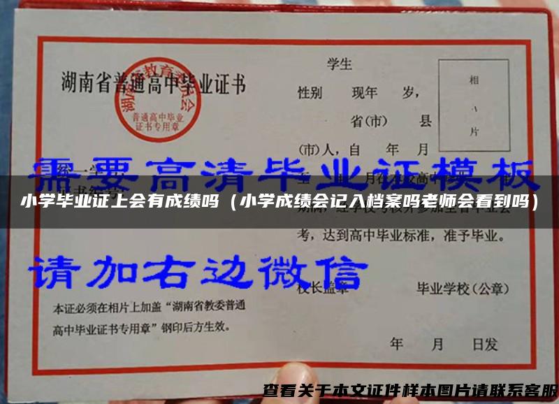 小学毕业证上会有成绩吗（小学成绩会记入档案吗老师会看到吗）