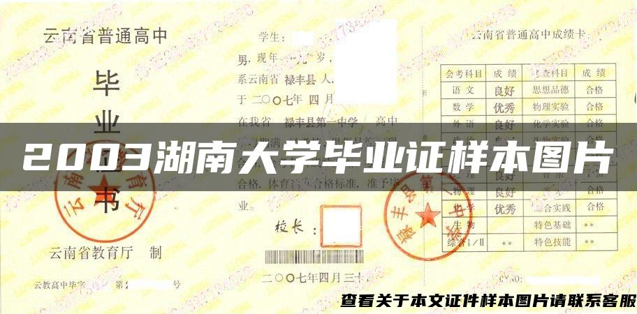 2003湖南大学毕业证样本图片