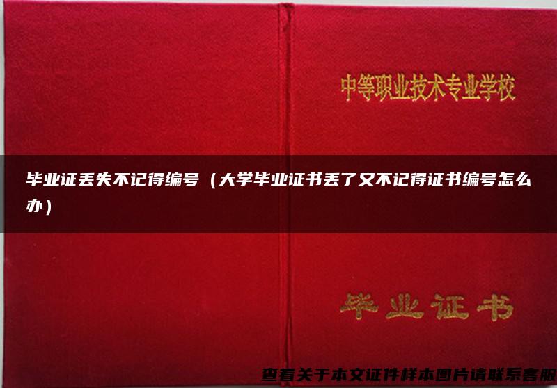 毕业证丢失不记得编号（大学毕业证书丢了又不记得证书编号怎么办）