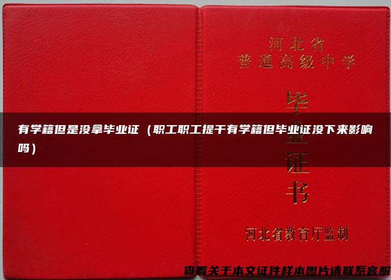 有学籍但是没拿毕业证（职工职工提干有学籍但毕业证没下来影响吗）