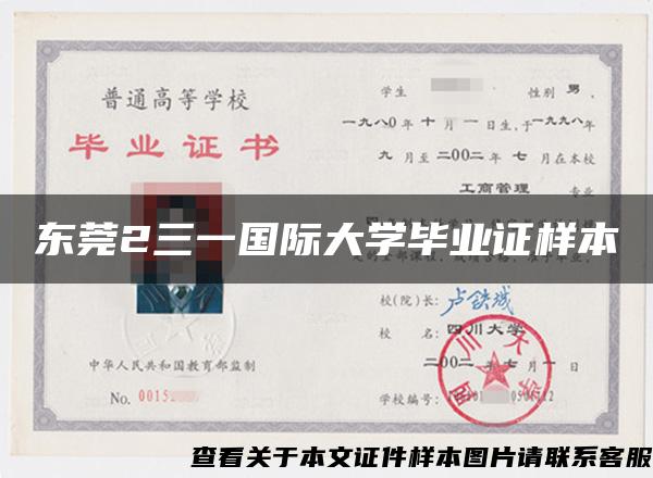 东莞2三一国际大学毕业证样本