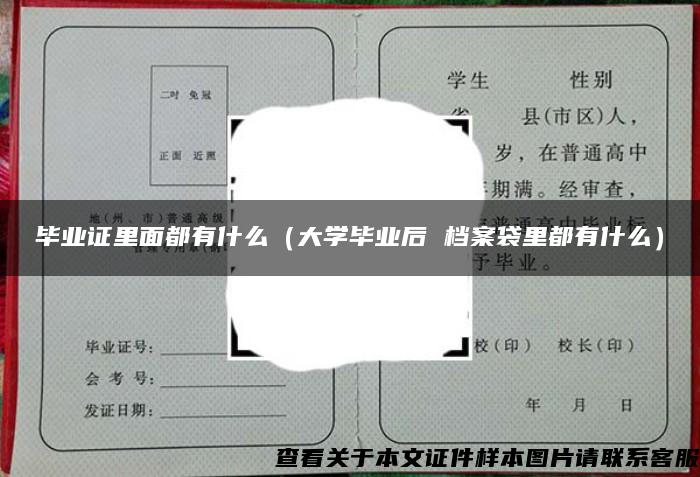 毕业证里面都有什么（大学毕业后 档案袋里都有什么）