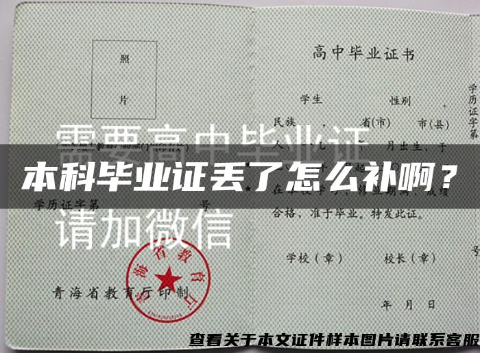 本科毕业证丢了怎么补啊？