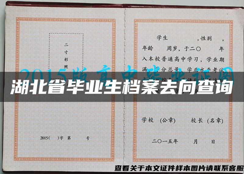 湖北省毕业生档案去向查询