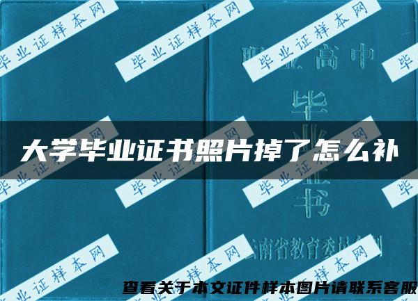 大学毕业证书照片掉了怎么补