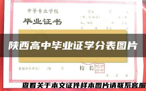 陕西高中毕业证学分表图片