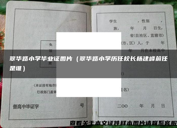 翠华路小学毕业证图片（翠华路小学历任校长杨建峰前任是谁）