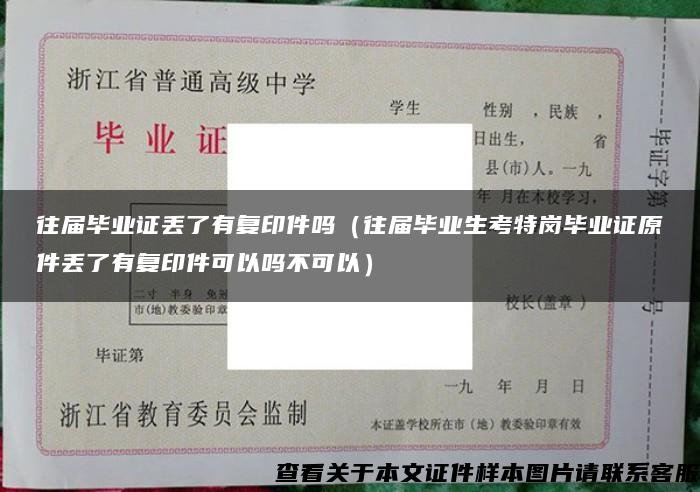 往届毕业证丢了有复印件吗（往届毕业生考特岗毕业证原件丢了有复印件可以吗不可以）