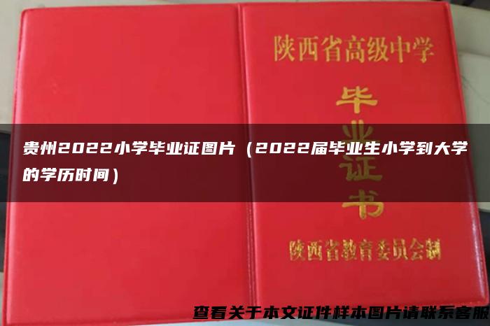 贵州2022小学毕业证图片（2022届毕业生小学到大学的学历时间）