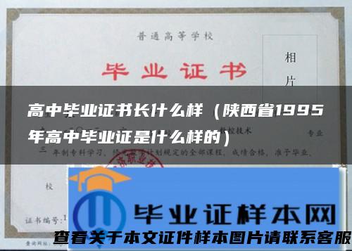 高中毕业证书长什么样（陕西省1995年高中毕业证是什么样的）