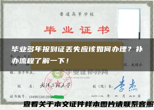 毕业多年报到证丢失应该如何办理？补办流程了解一下！