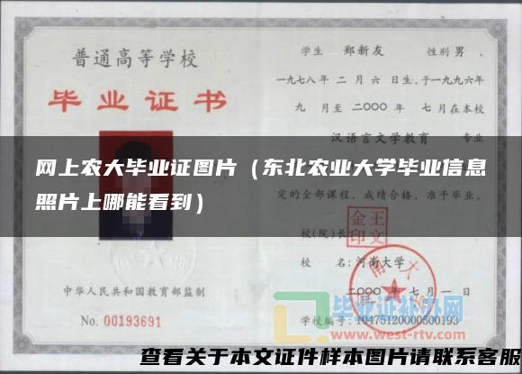 网上农大毕业证图片（东北农业大学毕业信息照片上哪能看到）