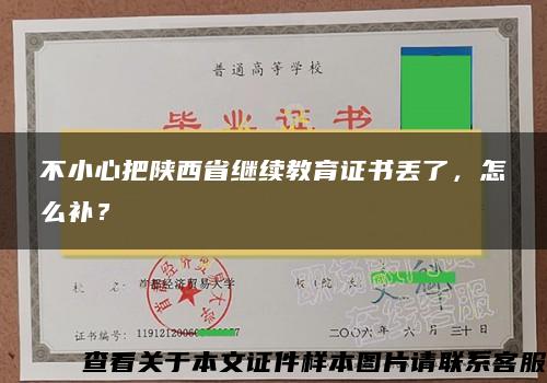 不小心把陕西省继续教育证书丢了，怎么补？