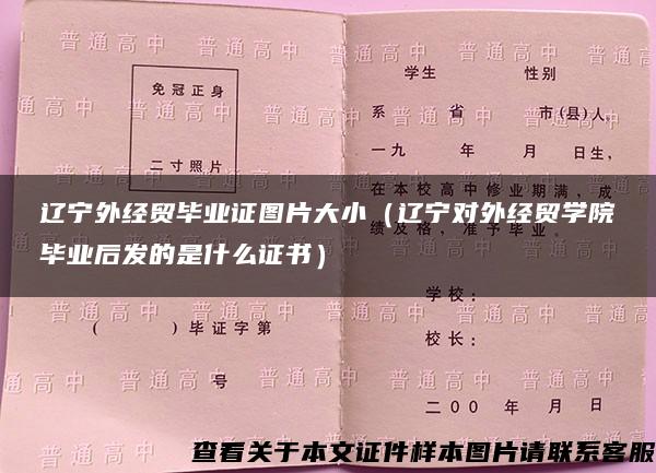 辽宁外经贸毕业证图片大小（辽宁对外经贸学院毕业后发的是什么证书）