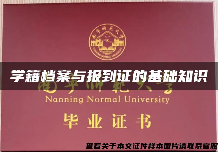 学籍档案与报到证的基础知识