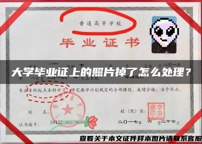 大学毕业证上的照片掉了怎么处理？