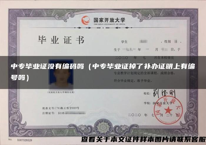 中专毕业证没有编码吗（中专毕业证掉了补办证明上有编号吗）