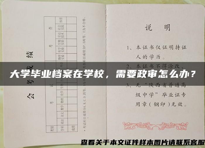 大学毕业档案在学校，需要政审怎么办？