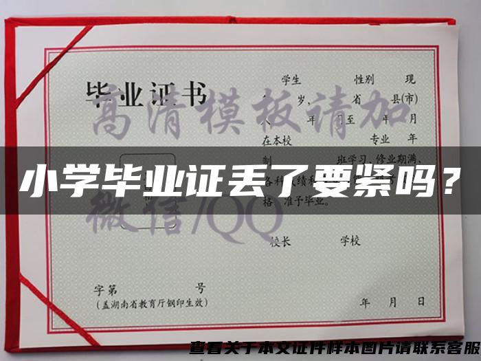 小学毕业证丢了要紧吗？