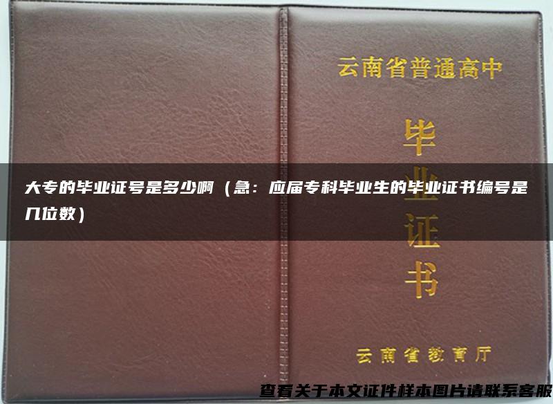 大专的毕业证号是多少啊（急：应届专科毕业生的毕业证书编号是几位数）