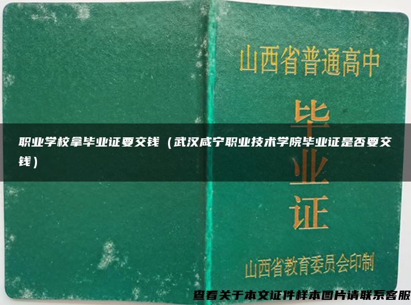 职业学校拿毕业证要交钱（武汉咸宁职业技术学院毕业证是否要交钱）