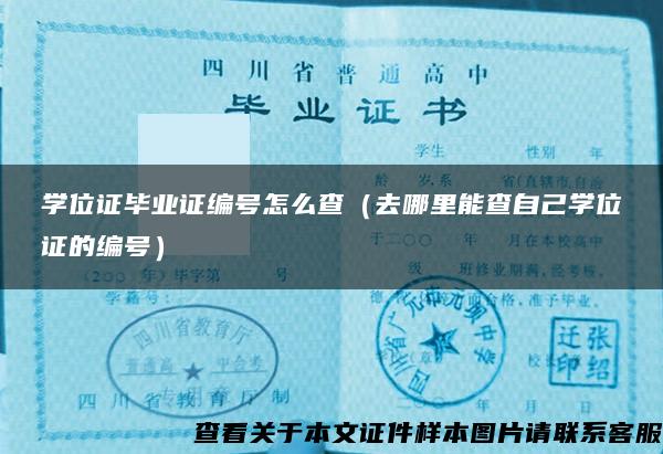 学位证毕业证编号怎么查（去哪里能查自己学位证的编号）