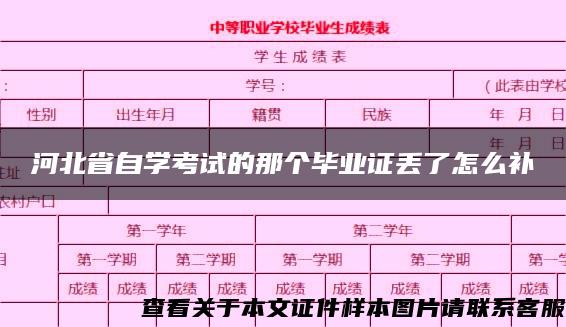 河北省自学考试的那个毕业证丢了怎么补