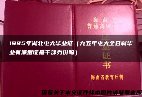 1995年湖北电大毕业证（九五年电大全日制毕业有派遣证是干部身份吗）