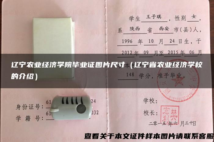 辽宁农业经济学院毕业证图片尺寸（辽宁省农业经济学校的介绍）