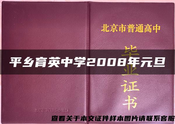 平乡育英中学2008年元旦