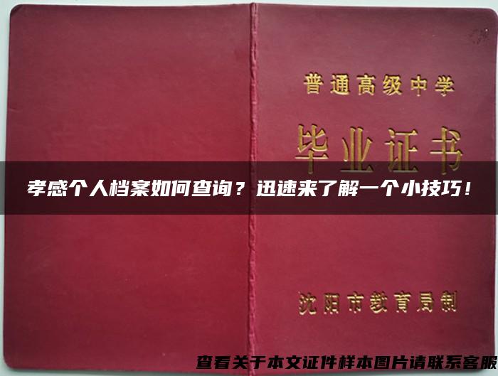 孝感个人档案如何查询？迅速来了解一个小技巧！