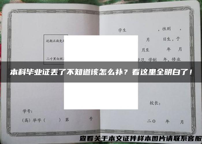 本科毕业证丢了不知道该怎么补？看这里全明白了！