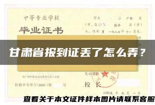 甘肃省报到证丢了怎么弄？