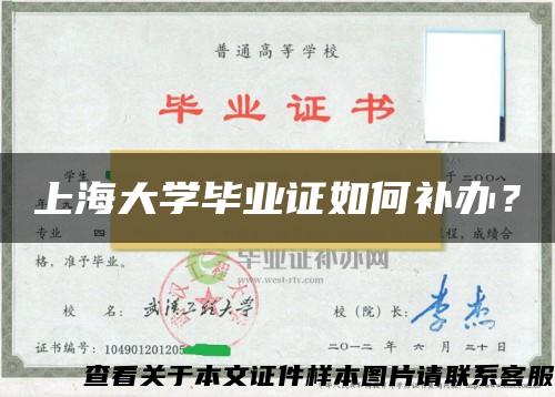 上海大学毕业证如何补办？