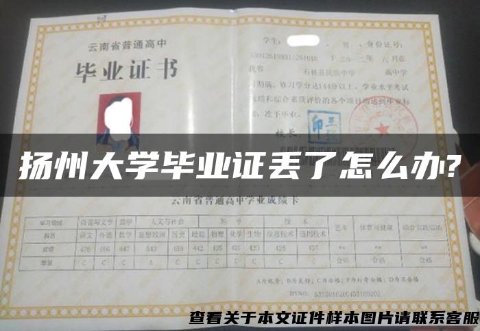 扬州大学毕业证丢了怎么办?