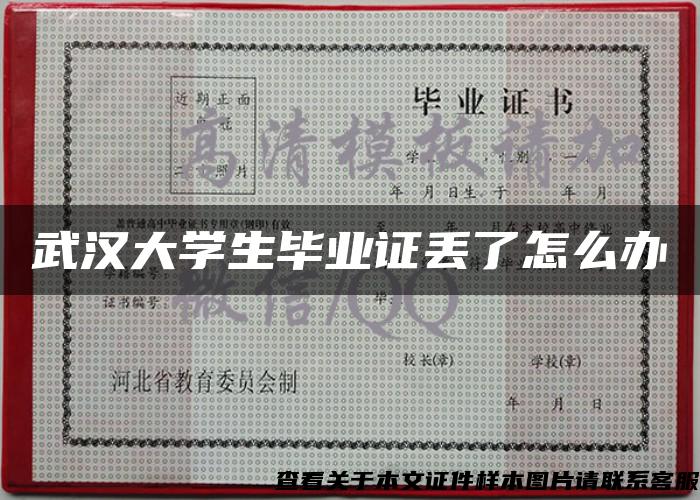 武汉大学生毕业证丢了怎么办