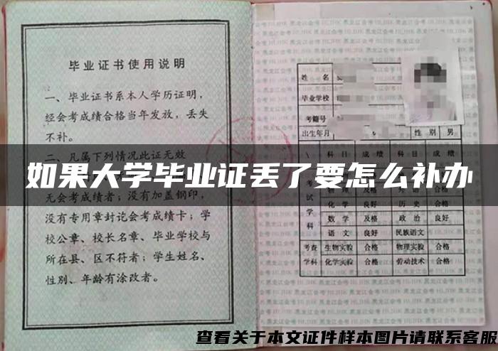 如果大学毕业证丢了要怎么补办