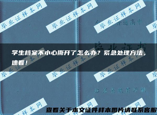 学生档案不小心撕开了怎么办？紧急处理方法，速看！