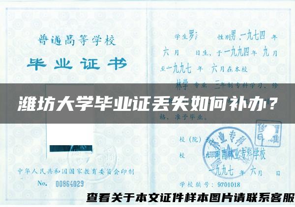 潍坊大学毕业证丢失如何补办？