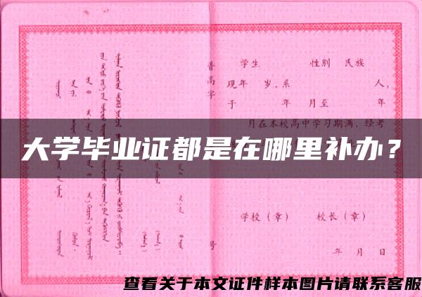 大学毕业证都是在哪里补办？