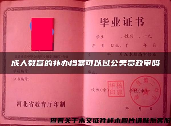 成人教育的补办档案可以过公务员政审吗