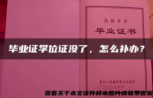 毕业证学位证没了，怎么补办？