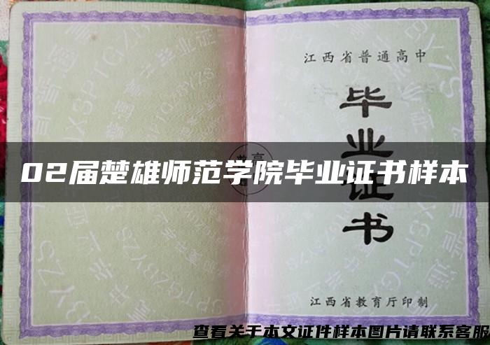 02届楚雄师范学院毕业证书样本