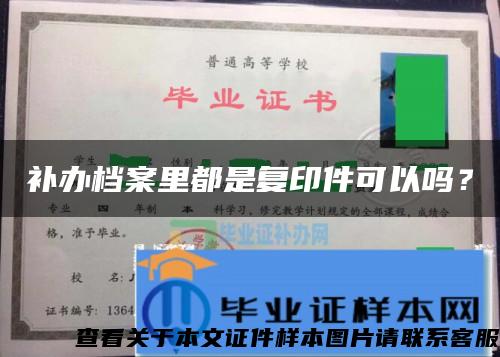 补办档案里都是复印件可以吗？