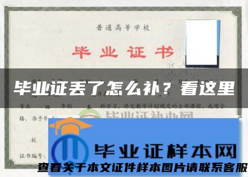 毕业证丢了怎么补？看这里