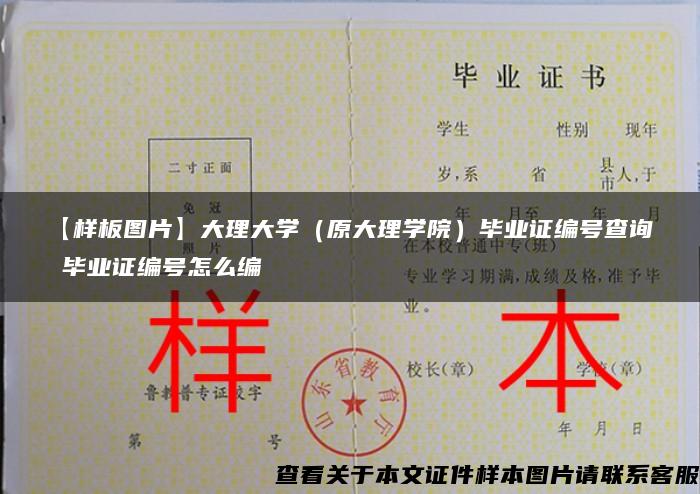 【样板图片】大理大学（原大理学院）毕业证编号查询 毕业证编号怎么编