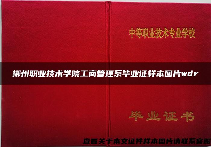 郴州职业技术学院工商管理系毕业证样本图片wdr