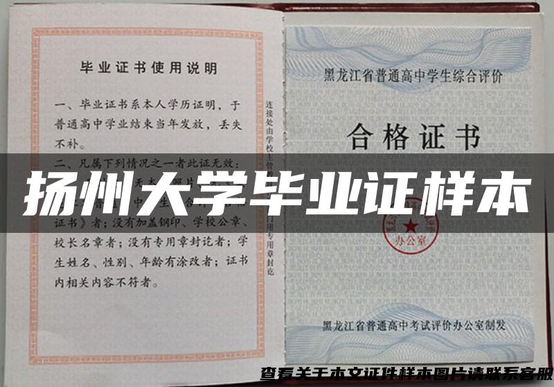 扬州大学毕业证样本